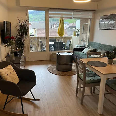 Agreable 2 Pieces Au Coeur De Apartment